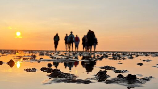 Eine Gruppe Menschen steht bei Sonnenuntergang im Wattenmeer