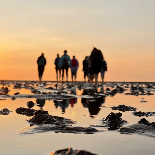 Eine Gruppe Menschen steht bei Sonnenuntergang im Wattenmeer